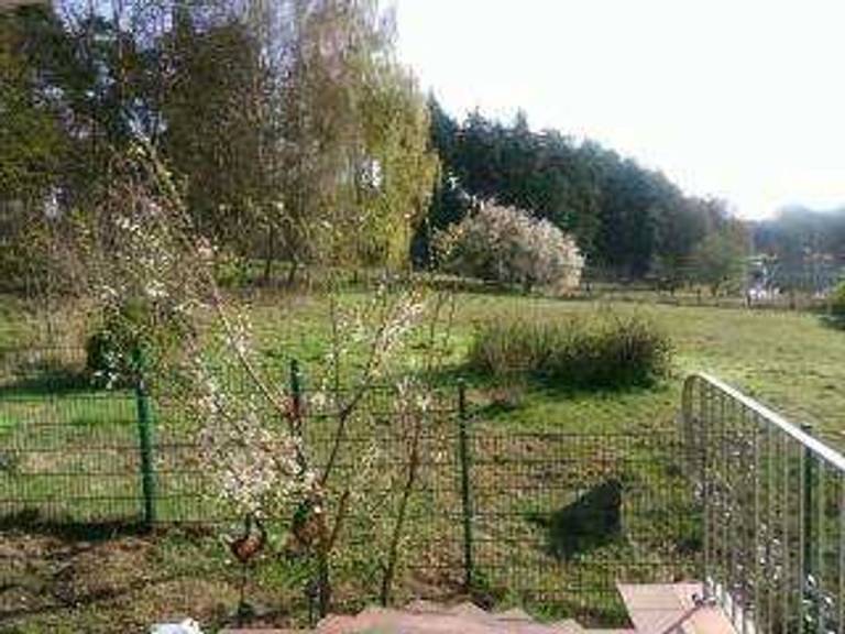foto11
