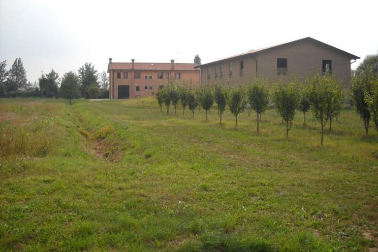 foto17