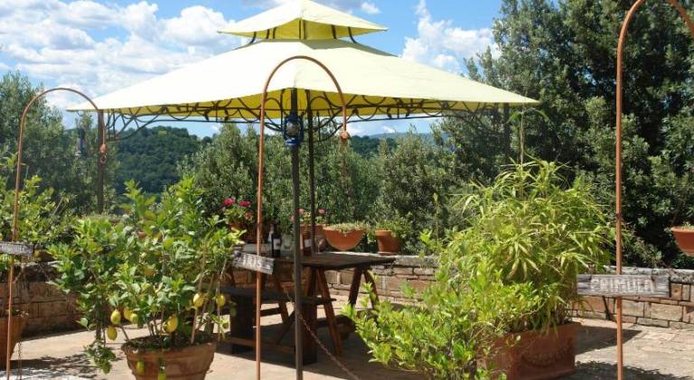 Charming rental apartment with pool | Pets are welcome — photo 5