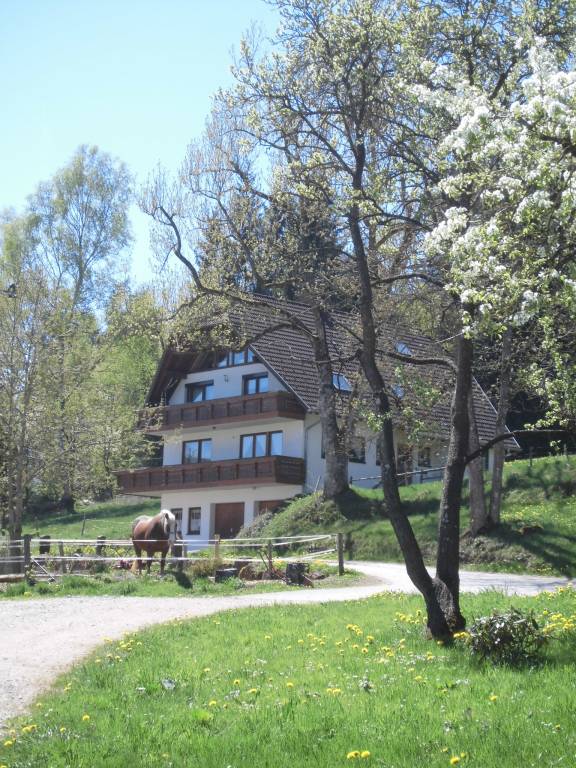 foto1