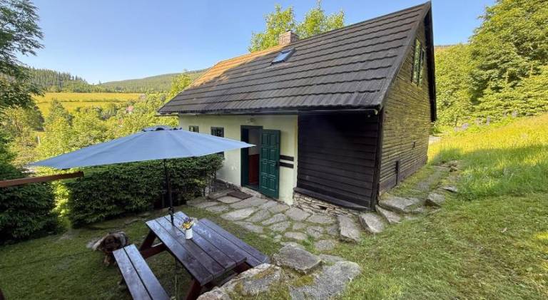 Lodge with private pool, patio & yard | Dogs allowed — photo 4