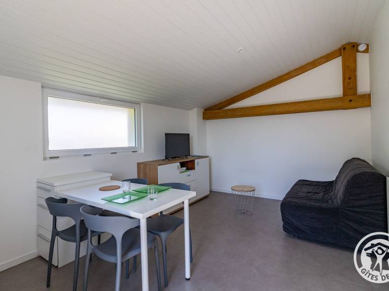 Cottage with barbeque — photo 4