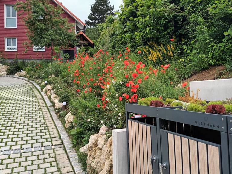 foto28