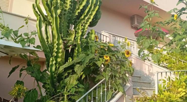 Wonderful rental apartment with grill, yard & terrace | Beach nearby | Pet-friendly — photo 5