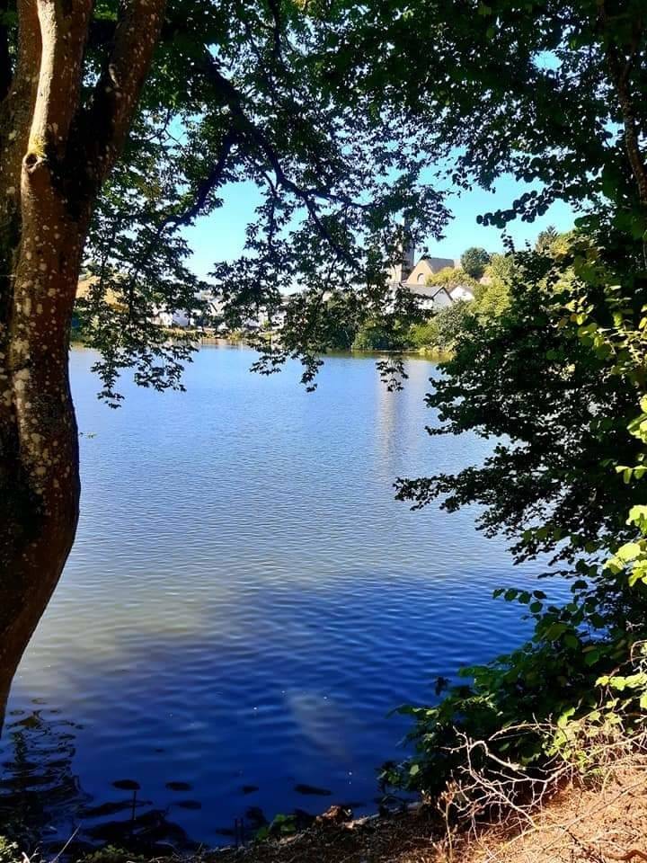 foto19