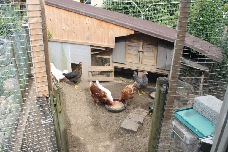 Bed & Breakfast Rust