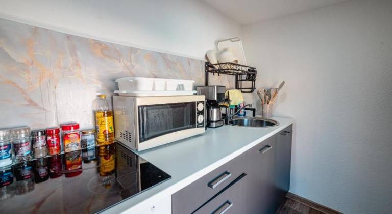 Apartment | Pets are welcome — photo 4
