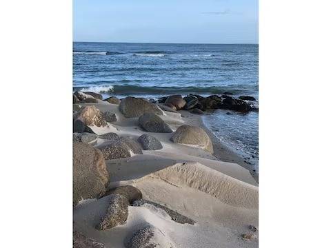 foto29