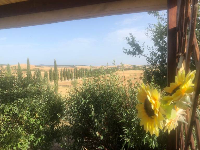 Family-friendly nice dedicated room with private pool, barbecue & garden | Nature view | Suitable for remote work | Pet-friendly — photo 4