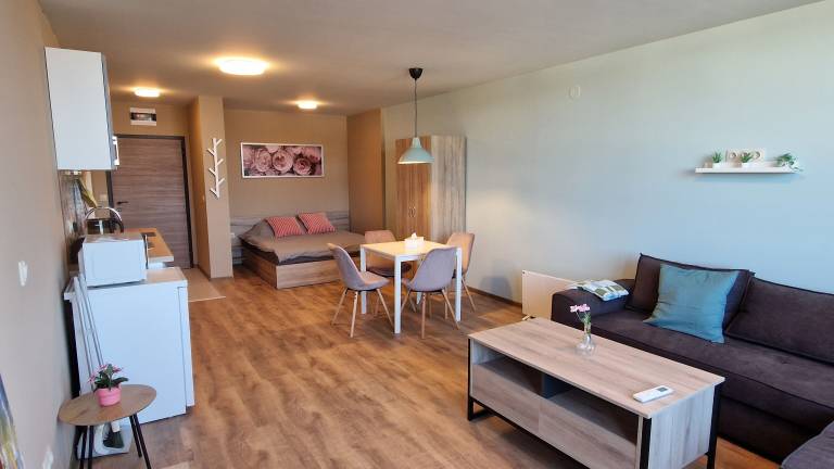 Apartment  Samokov