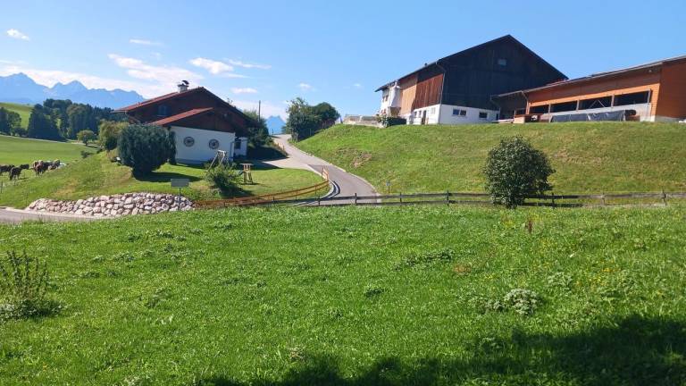foto2