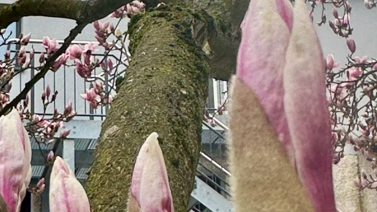 Ferienwohnung Bad Königshofen im Grabfeld