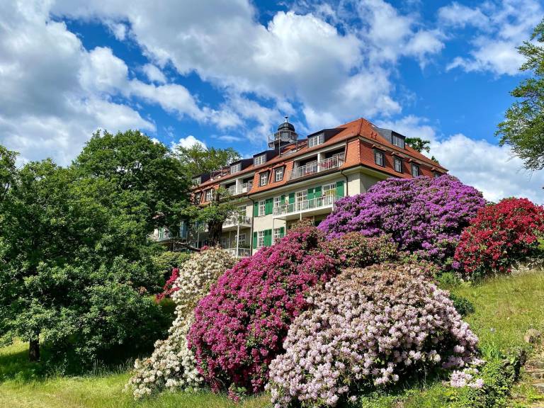 Ferienwohnung  Loschwitz