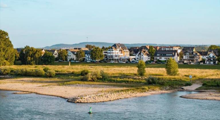 Rheinhotel Larus — photo 4
