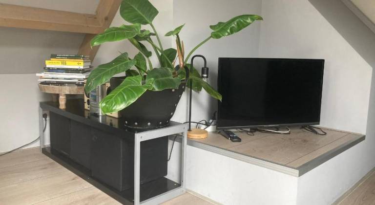 foto17