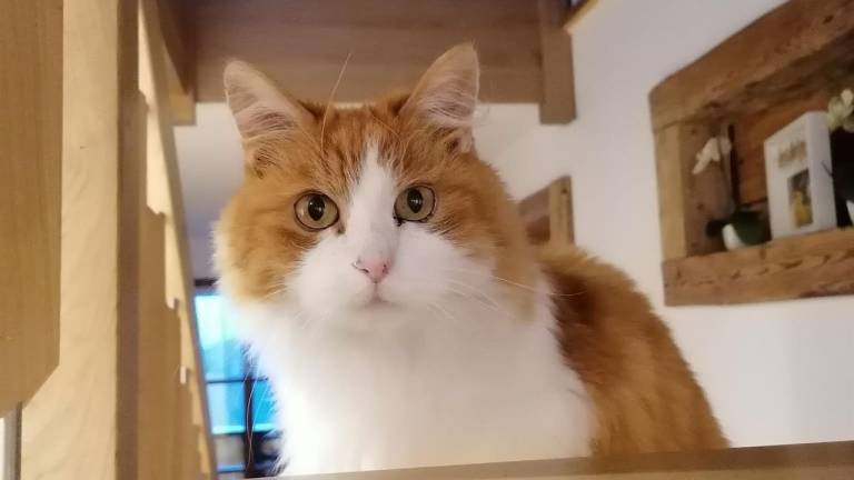 foto16
