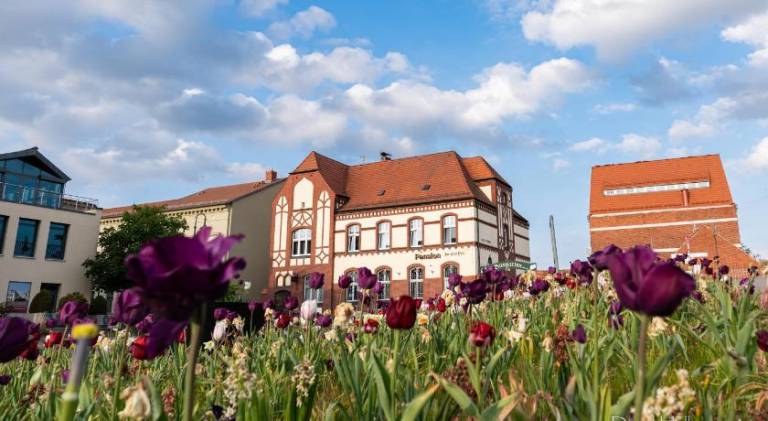 Bed & Breakfast Hansestadt Havelberg