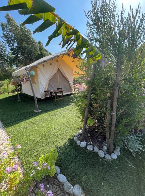 foto41