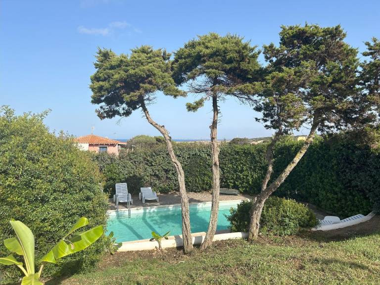 foto46