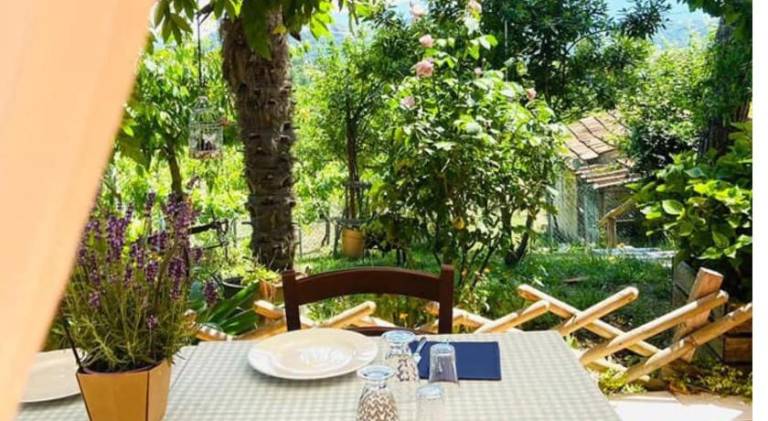 Farm with 1 room for 3 persons — photo 4