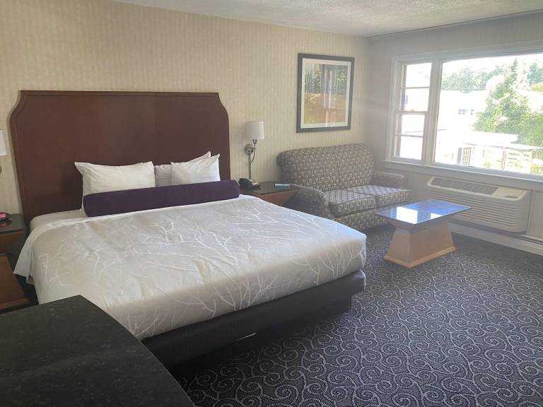 The Black Mountain Inn — photo 2