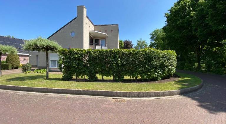 foto15