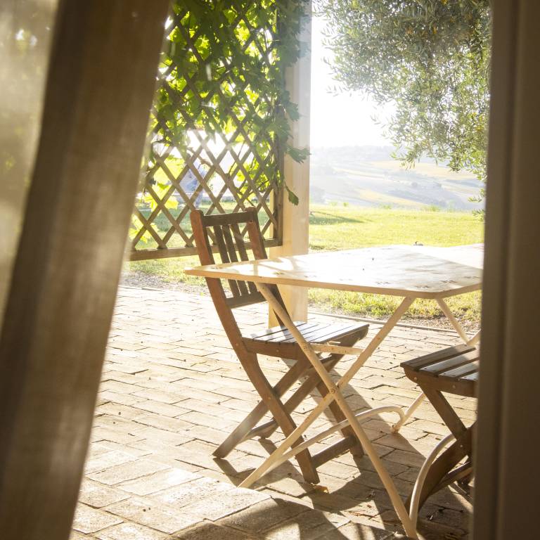 Tenuta San Marcello: Goutte d'Olive — photo 5