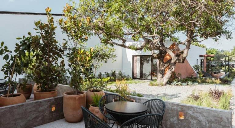 Suite 2 Camas Zona Andares Jardin y Alberca — photo 2