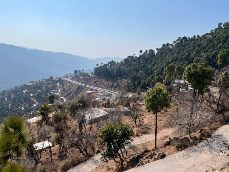 foto5