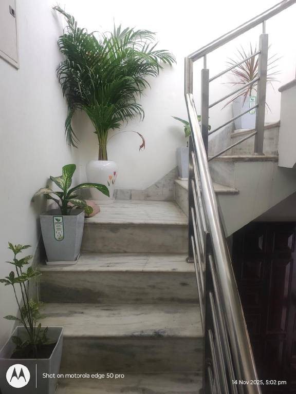 House with garden — photo 3