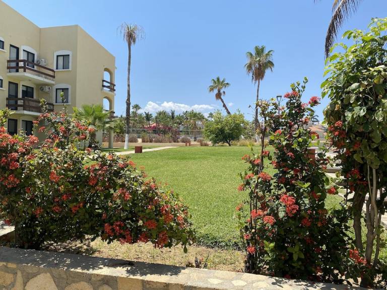 Condo San José del Cabo