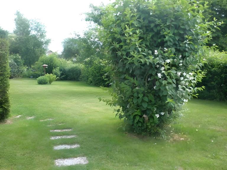foto27