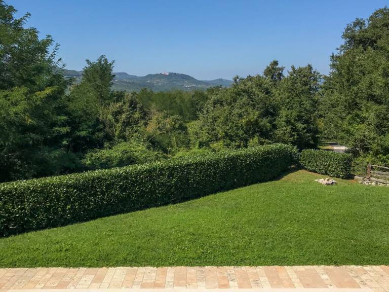 foto11