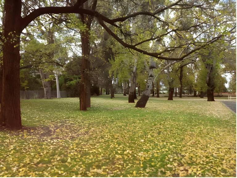 foto38