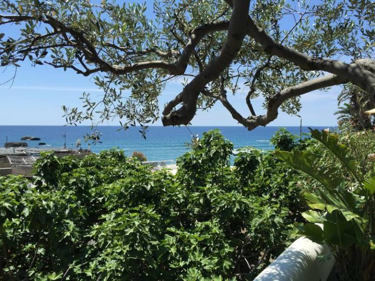 Family-oriented holiday apartment with terrace | Beach nearby | Pet-friendly — photo 2