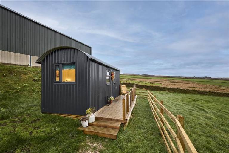 Host Stay Swallows Nest