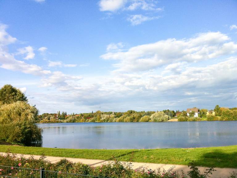 foto31