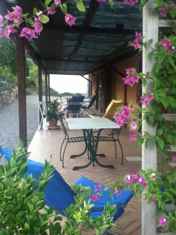 foto31