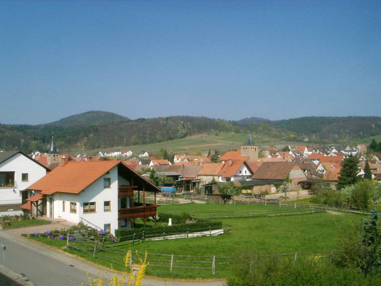 foto23
