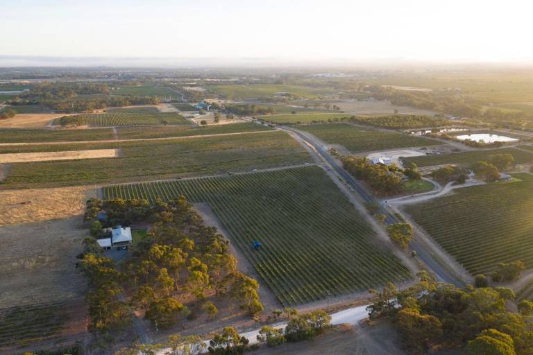 House Barossa Valley