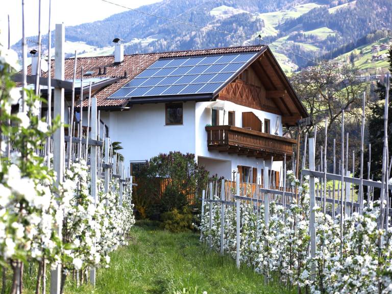 Holiday apartment with 2 rooms for 4 persons in Marlengo