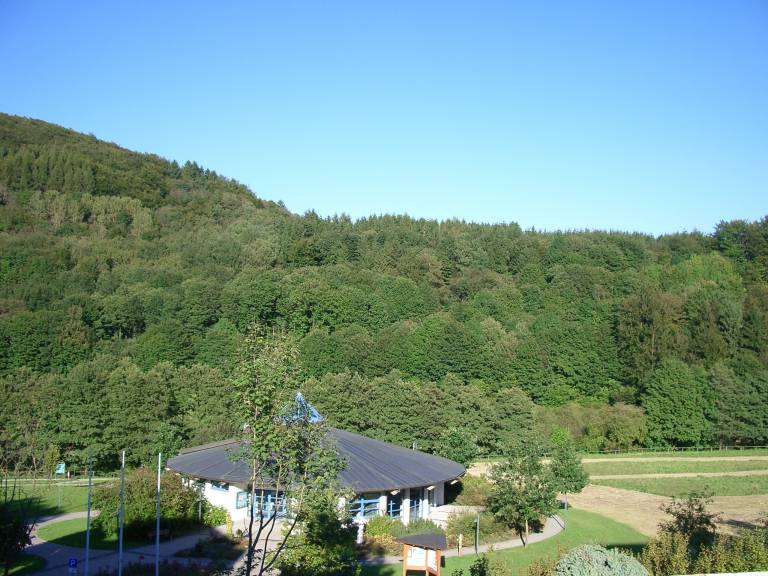 Ferienhaus Willingen (Upland)