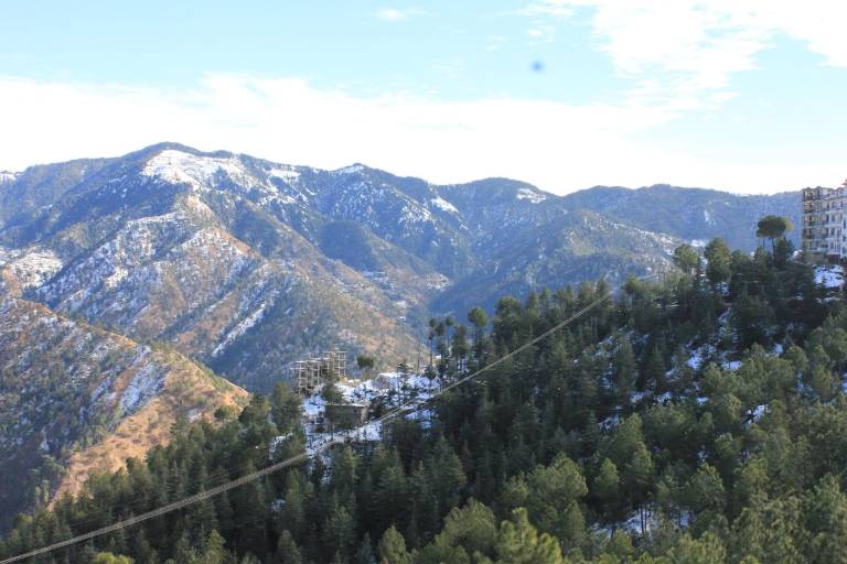 Silverpine Apartment & Homestay — photo 2