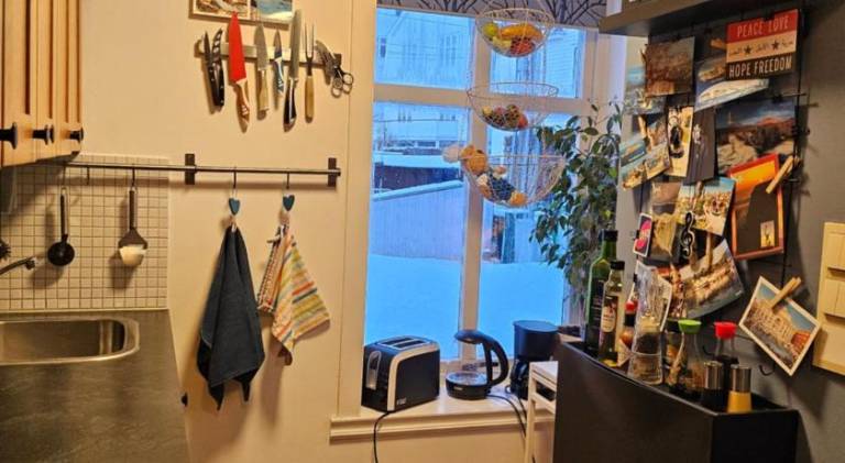Beautiful rental apartment | Dogs allowed — photo 5