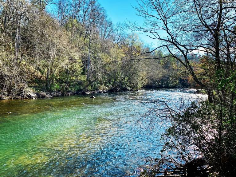 Cottage Hayesville