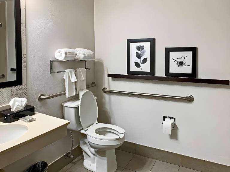 Comfort Inn & Suites Ruston-East — photo 4