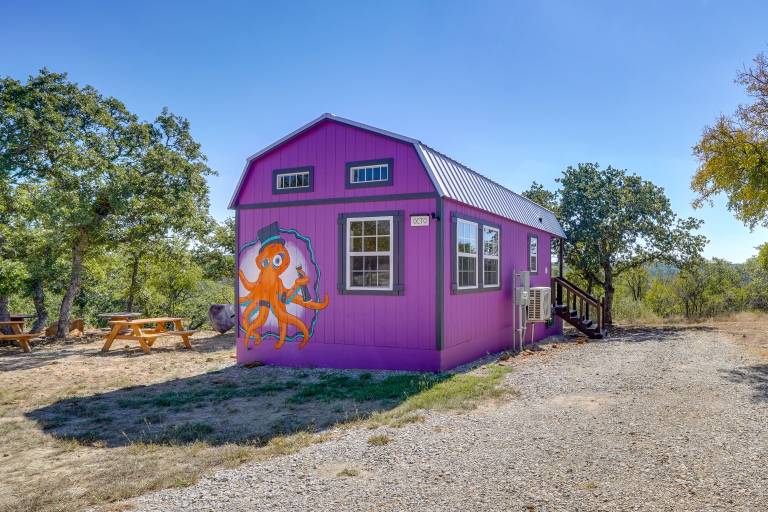 Whimsical Cabin w/ Grill < 4 Mi to Lake Brownwood! — photo 3