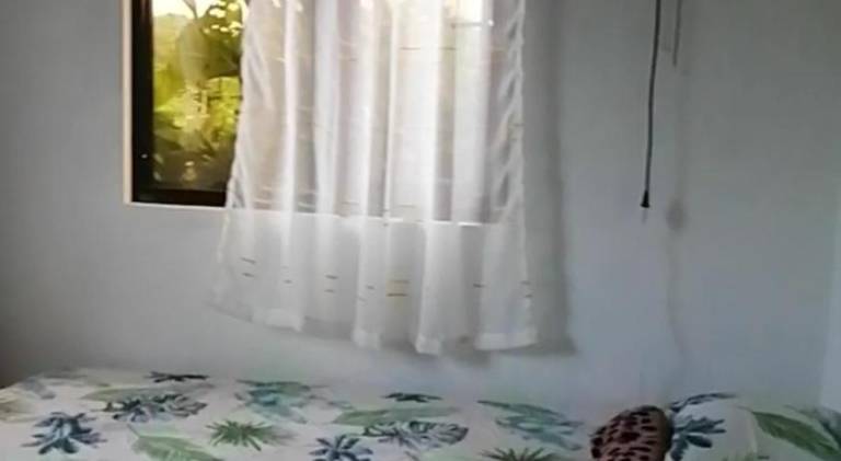 foto19