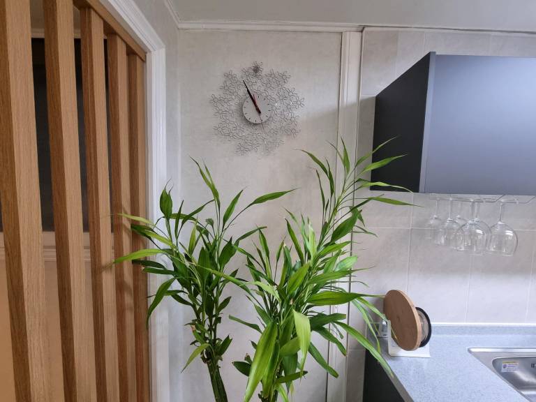 foto27