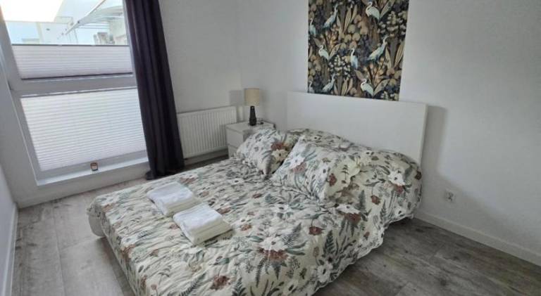 Rental apartment | Dogs allowed — photo 2
